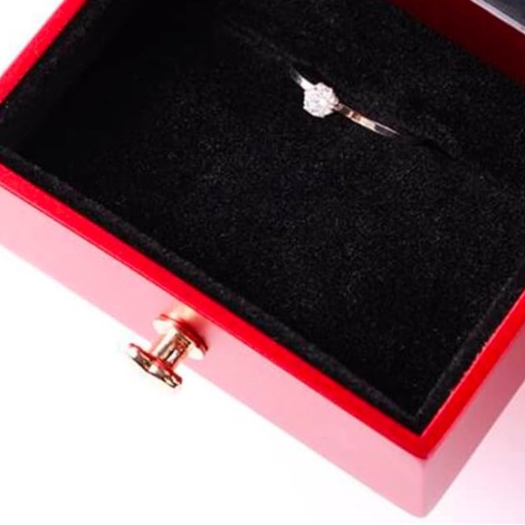 BNIB ACRYLIC APPLE HEART SHAPE PRESERVED RED ROSE RING/JEWELRY PRESENT GIFT BOX - Picture 9 of 16